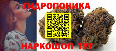 гидропоника Лесосибирск