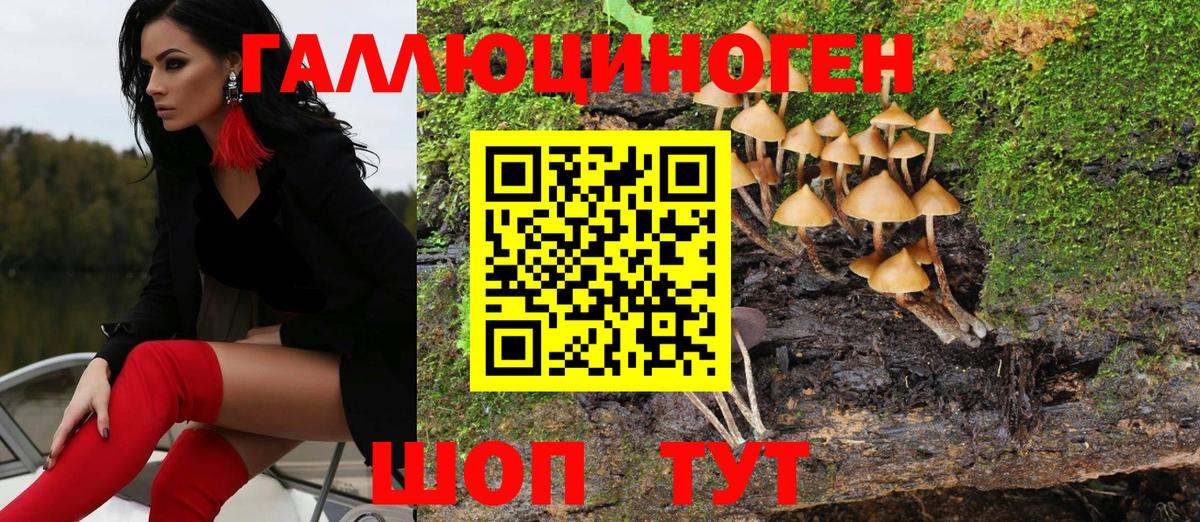 Псилоцибиновые грибы GOLDEN TEACHER Владимир