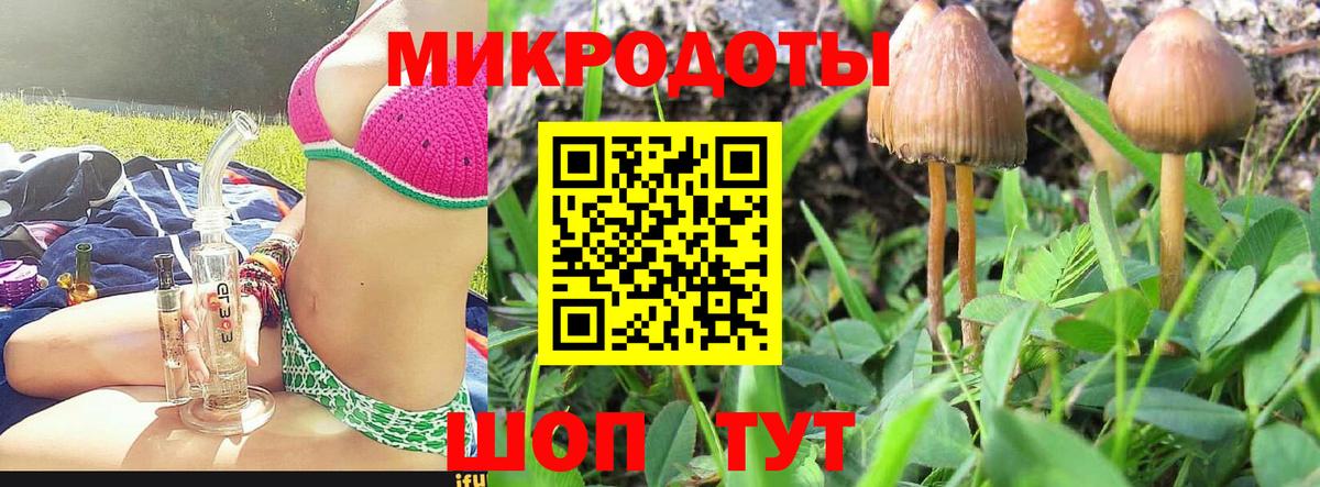 Галлюциногенные грибы ЛСД  Псилоцибиновые грибы мухоморы  Вход с VPN  Владимир 