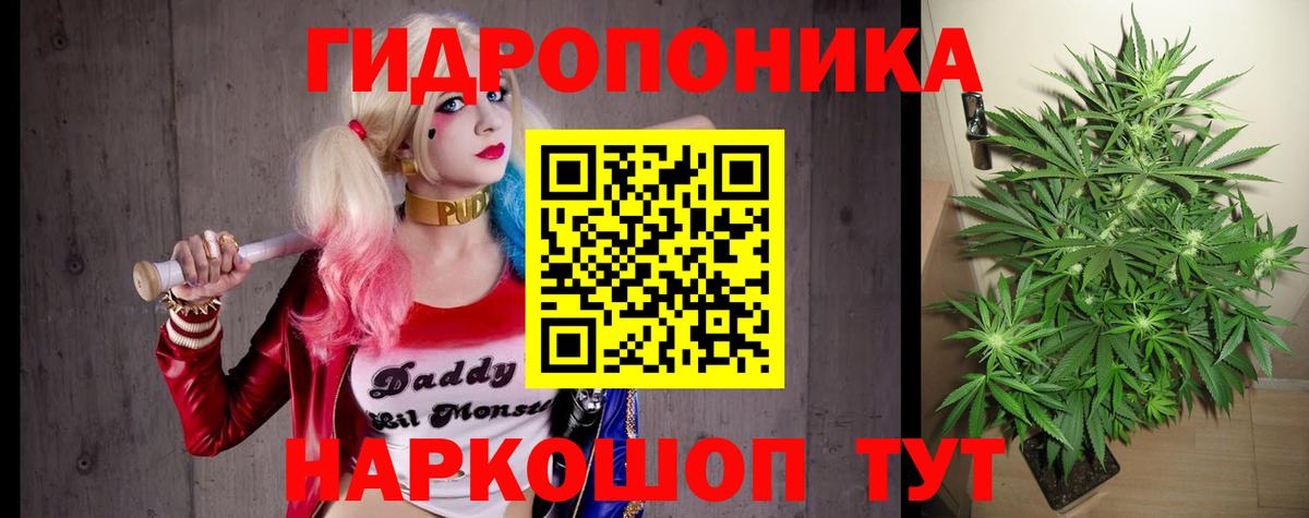 Владимир  Конопля гибрид  Марихуана OG Kush  Вход с VPN  Канабис MAZAR  Канабис индика 